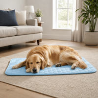 Dog resting on Auren ChillMat in living room